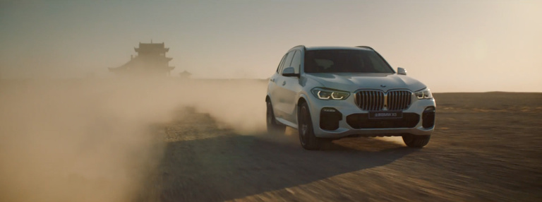 Nine Monkeys - BMW x5